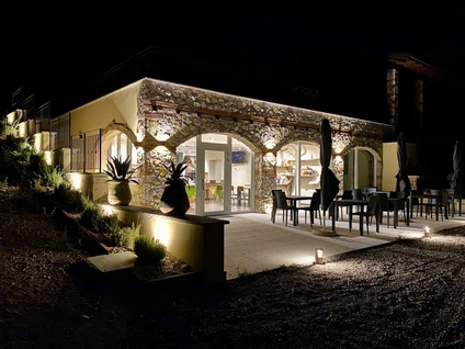 Degustazione Olio Extravergine del Garda: Tour Panoramico ed Esperienza Sensoriale 7 Degustazione Olio Extravergine del Garda: Tour Panoramico ed Esperienza Sensoriale 7